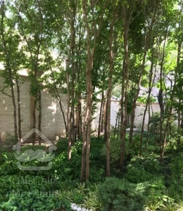 ۲۶۰متر۴خواب اقدسیه اجودانیه فروش