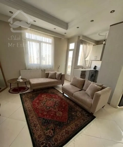 آپارتمان ۴۰متری رهن و اجاره/مرتضوی