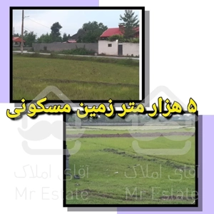 فروش ۵ هزار متر زمین مسکونی