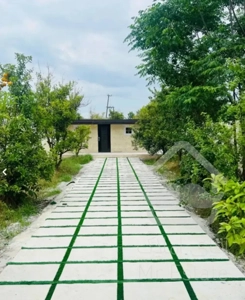 فروش خونه باغ جاده نظامی جنید ۲۵۰ متر