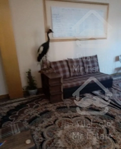 اجاره آپارتمان تک خواب