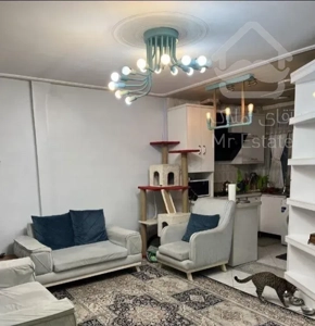 60متر/خوش‌نقشه/پارکینگ‌دار/غفاری