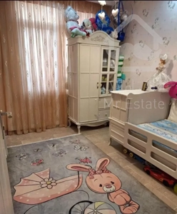 شمال پاتریس بالاتر از ملکوتی