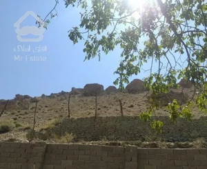 ۲۵۰۰ متر باغ دارای جواز ساخت زرین دشت