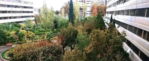 فروش ۳خواب بالا ورزشگاه