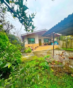 خانه روستایی 255متری*سند*بافت*جنگلی