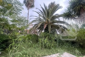 ویلا باغ ۵۲۰ متری شهرک دریاکنار مناسب سرمایه گذاری