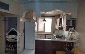 ۵۵ متر پارکینگ دار یک خواب