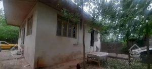 خانه کلنگی ۴۳۰ متری ۱۰ دقیقه ای ساحل