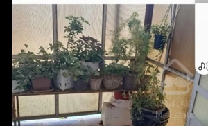 رهن و اجاره سوییت