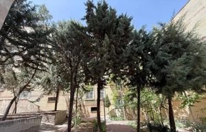 اجاره آپارتمان در پردیس