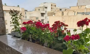 58 متر دو خواب هاشم آباد