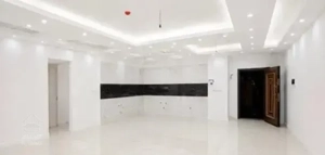 یک عدد واحد خوش نقشه