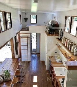 مرکز فروش۲۰متری سهام بتاجا ارتش (گیاهشناسی)