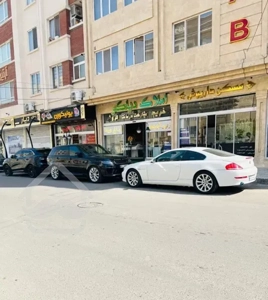باغ هلو باانشعابات شاهنامه گوارشک مجموعه دیاکو