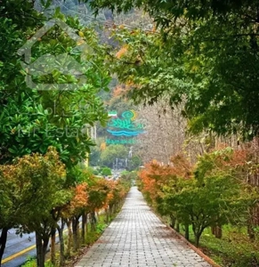 شهرک نمک ابرود/فروش واحد مسکونی