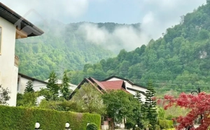 ویلاباغ ۵۰۰متری/شهرک تودلِ جنگل/باسند