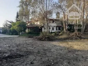 زمین شمال موقعیت عالی