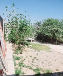 فروش ویلایی ۳۸۲متری چهچکورسنددار