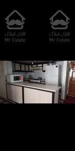 **۱۰۰ متر  دودقیقه تامترو دسترسی **