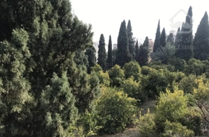 تک واحد 210 متری - بلوار گلستان ( محمدیان فرد )