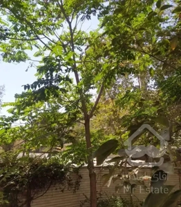 900متربنا در 700متر زمین زعفرانیه آصف