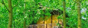 همچین ویلایی تو عمرت ندیدی