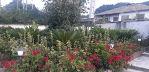 ویلا باغ ۱۰۰۰ متری طالقانی