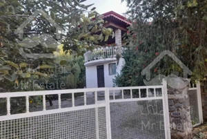 سوئیت ۴۰ متری دارای حیاط،خواب پذیرایی وسرویس