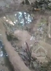 خانه باغ شیک قادیکلا آب.برق.گاز آلاچیق کنا رودخانه