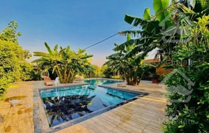 اجاره باغ ویلا در دزفول