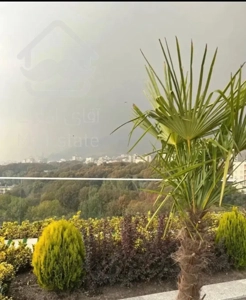 همجوار گلستان شمالی۳۴۰مترچشم انداز ابدی سبز
