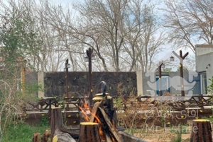 تنها خانه باغ اجاره ای همراه با 25متر ابنما سنگی