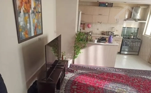 / ۶۲ متر دوخواب تک واحدی تمیز محمودیان /