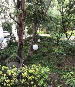 53 متر در پیچ شمیران  برادران قاعدی فول امکانات