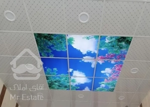 اجرای انواع سقف کاذب در تمام نقاط استان