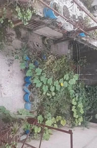 فروش وتهاتر دوواحده باویلایی واپارتمان سندتک برگ