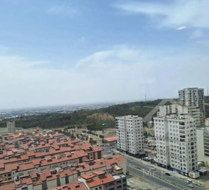 ۱۵۰ متر/ چشم تو چشم جنگل چیتگر/ میثم لطیفی