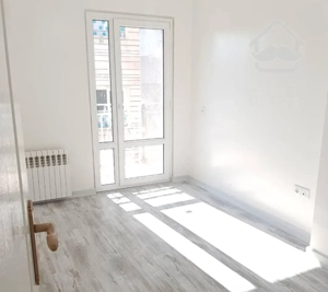 ۱۰۰ متر ، پونک ، سردار جنگل