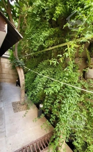 ساختمان یکجانوساز فرشته ۶۸۰ متر