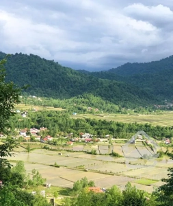 اجاره ویلا جنگلی در ماسوله