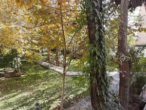 فرمانیه شرقی ۱۳۵متر / زیر قیمت/ تاپ لوکیشن