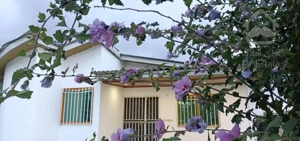 ویلای ۴۰۰ متری دنج نزدیک جنگل و دریا