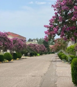 شهرک نمک آبرود/فروش ویلا ویو جنگل