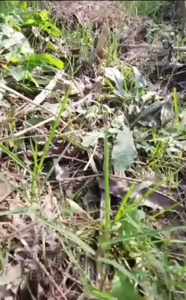 نصب و راه اندازی سیستم های حفاظتی و نظارتی