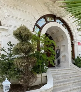 سازه برند فاز ۱ خیابان بالا (۱۱۵ متر شمالی افتاب)