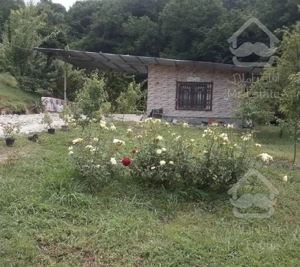 ویلا سوییت خانه جنگلی