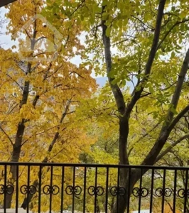 آپارتمان 70 متر /تراس بزرگ /شمشک /OUSHAN VILLA