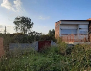 فروش فوری ۲۱۱متر زمین سر جاده اصلی سرخرود مناسب سرمایه گذاری