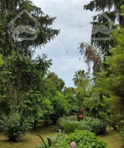 ویلا باغ ۱۵۰۰ متری ساحلی